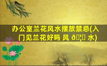 办公室兰花风水摆放禁忌(入门见兰花好吗 风 🦁 水)
